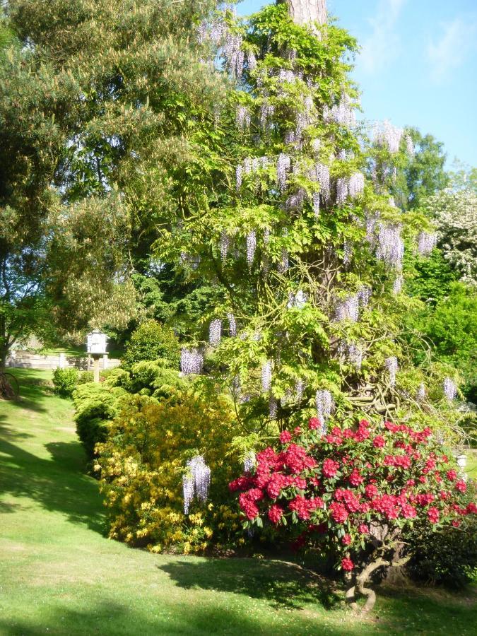 Chart House Bed And Breakfast Dorking Buitenkant foto
